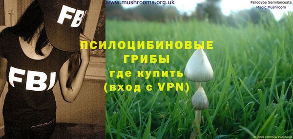 прущая мука Армянск