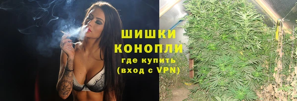 дурь Арсеньев