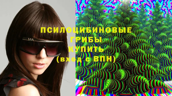 ПСИЛОЦИБИНОВЫЕ ГРИБЫ Сатка
